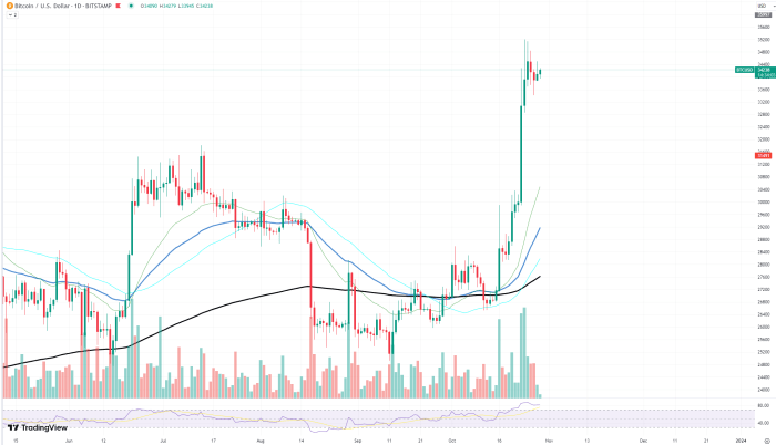 Michael Saylor Bitcoin Reserve Plan