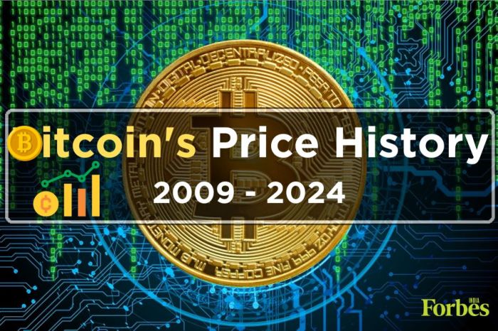 How Much Was Bitcoin In 2012