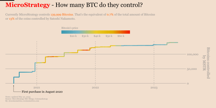 How Many Bitcoins Does Microstrategy Own