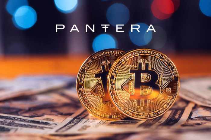 Pantera Capital Bitcoin Performance