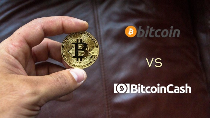 Bitcoin Cash Vs Bitcoin