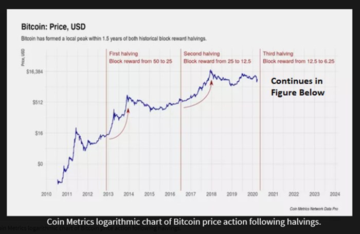 Bitcoin Halving 2025 Prediction