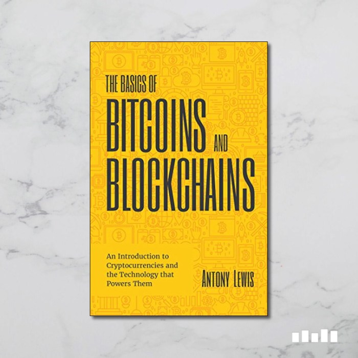 Little Book Of Bitcoin