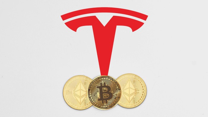 How Much Bitcoin Does Tesla Own