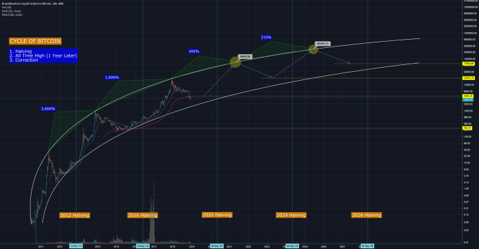 How Much Is Bitcoin Worth Today