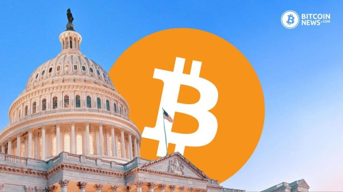 Us Government Bitcoin Holdings