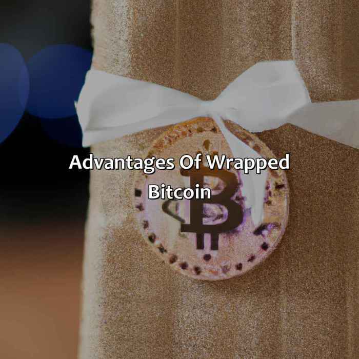 What Is Wrapped Bitcoin