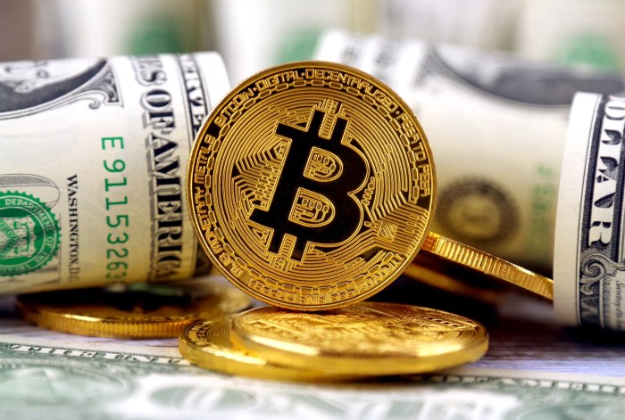 Precio Del Bitcoin En Dolares